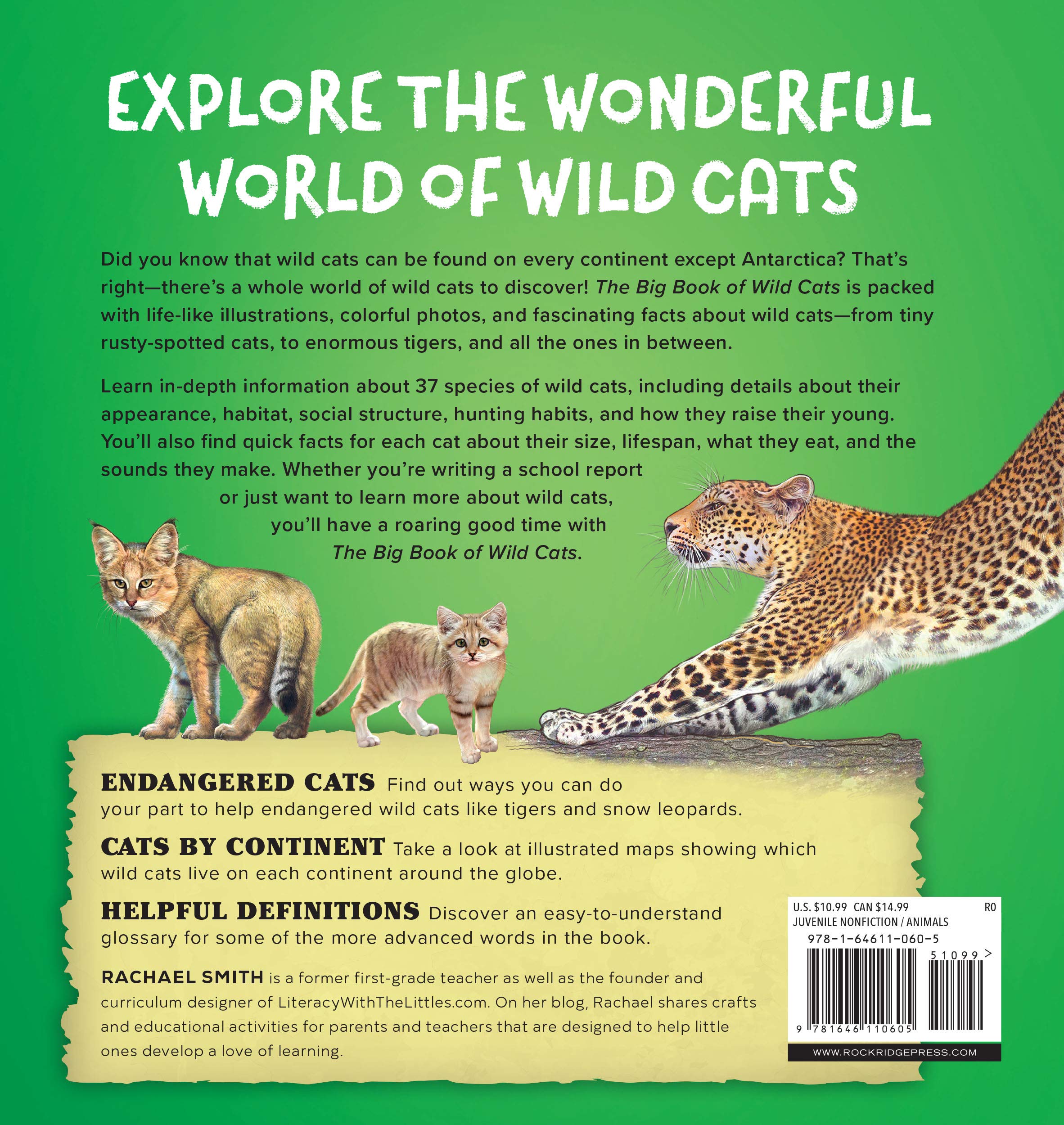 Mua The Big Book of Wild Cats: Fun Animal Facts for Kids trên Amazon Mỹ  chính hãng 2023 | Fado