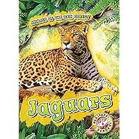 Jaguars (Animals of the Rain Forest)