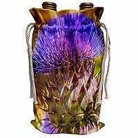 3dRose Artichoke thistle blooms, Desert Botanical Garden, Phoenix,... - Wine Bags (wbg-380747-1)