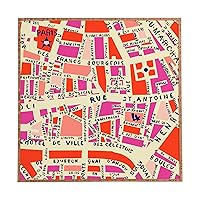 Deny Designs Holli Zollinger Paris Map Pink Framed Wall Art, Medium