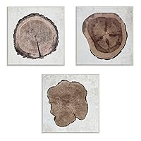 Stupell Home Décor Tree Ring Cross Section Triptych Stretched Canvas Wall Art Set, 17 x 1.5 x 17, Proudly Made in USA