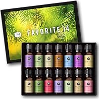 Fragrance Oil Favorite Set | Candle Scents for Candle Making, Freshie Scents, Soap Making Supplies, Diffuser Oil Scents