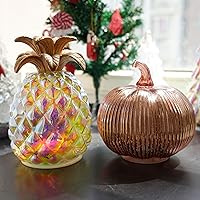 Mercury Glass Light up Pumpkin and Pineapple with Timer- Fall Decoration for Home-Lamps for Festive Decoration