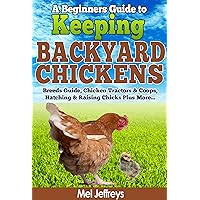 A Beginners Guide to Keeping Backyard Chickens - Breeds Guide, Chicken Tractors & Coops, Hatching & Raising Chicks Plus More... (Simple Living) A Beginners Guide to Keeping Backyard Chickens - Breeds Guide, Chicken Tractors & Coops, Hatching & Raising Chicks Plus More... (Simple Living) Kindle