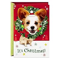 Hallmark Musical Christmas Card (Dogs, We Wish You a Merry Christmas) (599XSO9319)