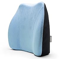 WENNEBIRD Model Q Lumbar Support Pillow - Patented Ergonomic and Adjustable Webbing Back Support for Back Pain Relief for Office Chair, Car, Sofa, Plane, Couch, Recliner - Blue