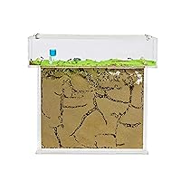 Natural Sand Ant Farm | Acrylic T Big Kit 9.84x7.87x0.59 in