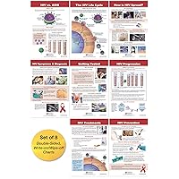 NewPath Learning HIV & AIDS Bulletin Board Charts, Set/8 - Laminated, Double-Sided, Full-Color, 12