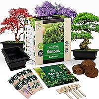 Bonsai Starter Kit – Japanese Bonsai Tree Kit with Bonsai Tools, 7 Bonsai Tree Seeds, Pots – Complete Grow Your Own Bonsai Tree Live Kit – Plant Lover Gifts Home Gifts for Men and Women