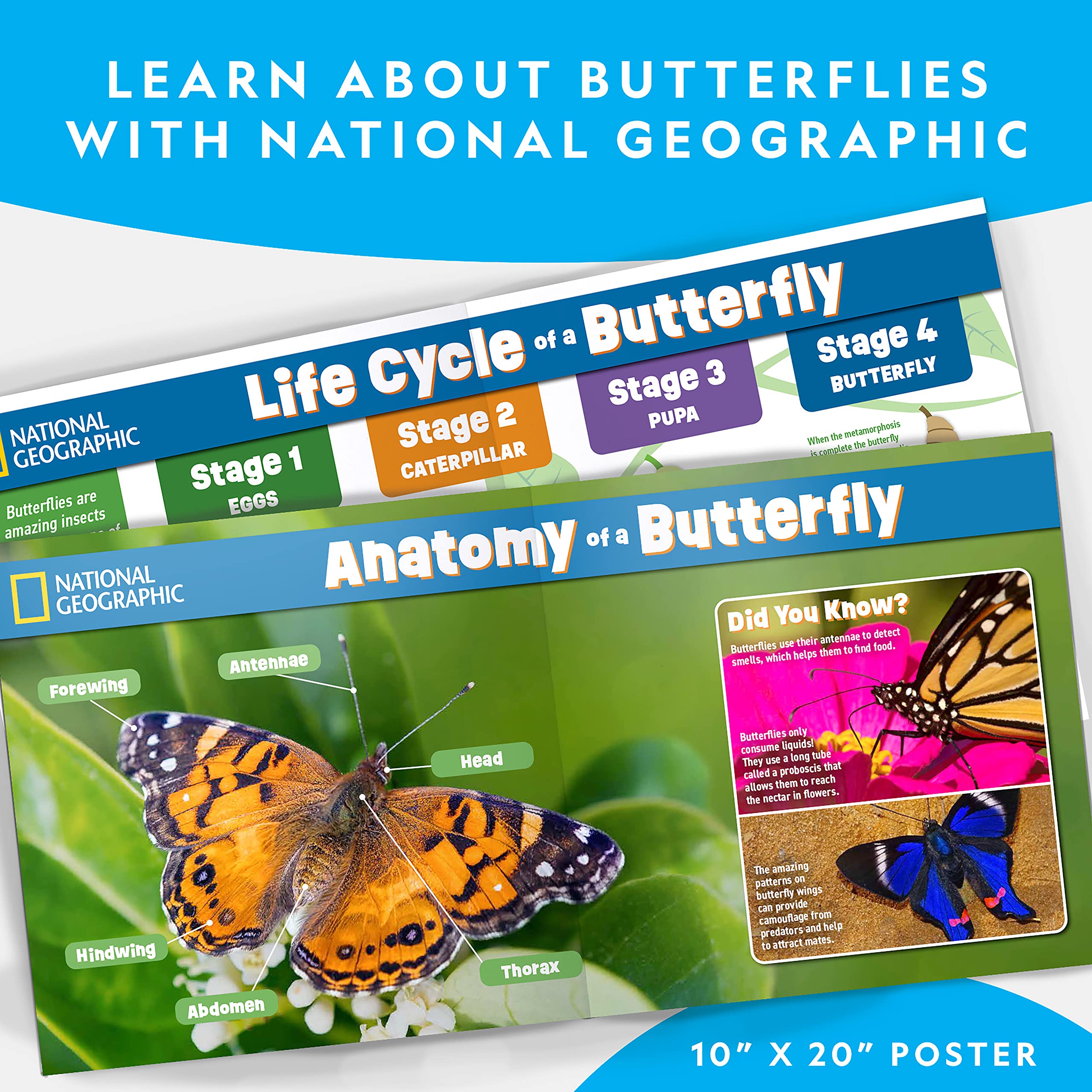 NATIONAL GEOGRAPHIC Butterfly Growing Kit - Butterfly Habitat Kit with Voucher to Redeem 5 Caterpillars ($10.95 S&H Not Included), Butterfly Cage, Feeder (Amazon Exclusive)