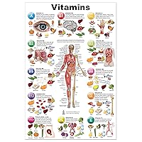 Blue Tree Publishing Vitamin and Anatomy Education (Poster, 12 * 17)