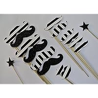 Mustache on a Stick Photo Booth Party Props Mustache Party 16 Pc