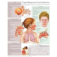 Upper Respiratory Tract Infections e chart: Full illustrated