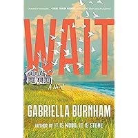 Wait: A Novel Wait: A Novel Kindle Hardcover Audible Audiobook