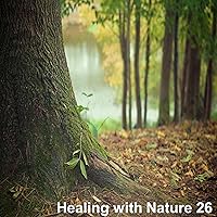 Nature and Healing 26 - Rain Sound ASMR to Relieve Pregnant Women's Insomnia 2 Hours