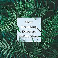 Slow Breathing Exercises Before Sleep Slow Breathing Exercises Before Sleep MP3 Music
