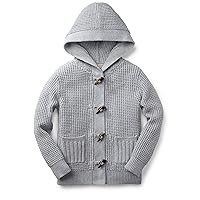 Hope & Henry Boys' Hooded Pullover Sweater
