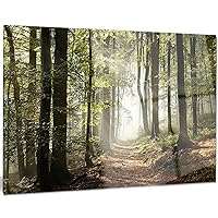 Green Fall Forest with Sun Rays Landscape Photo Metal Wall Art, 20x12