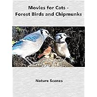 Movies For Cats - Forest Birds and Chipmunks
