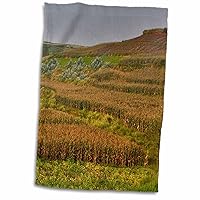 3dRose Kunming District, China. Rice and Corn in The Landscape. - Towels (twl-225478-1)