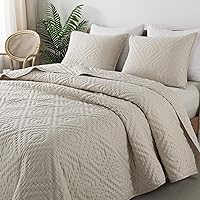 Beige Cream Tan Queen Size Quilt Bedding Sets with Pillow Shams, Boho Lightweight Soft Bedspread Coverlet, Quilted Blanket Thin Comforter Bed Cover for All Season, 3 Pieces, 90x90 inches