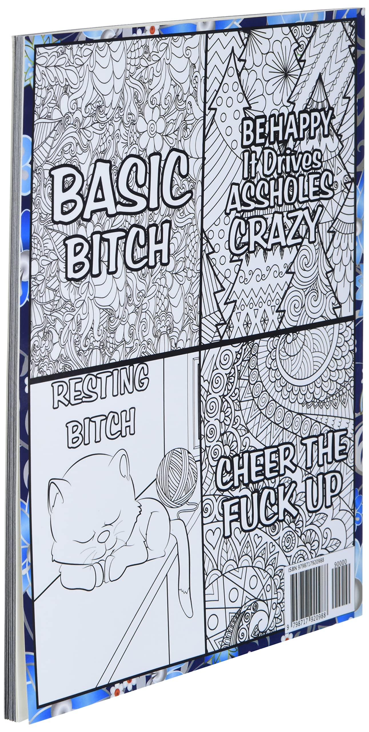 You Fucking Got This : Motivational Swear Words Coloring Book: Swear Word Colouring Books for Adults: Swearing Colouring Book Pages for Stress Relief ... Funny Journals and Adult Coloring Books)