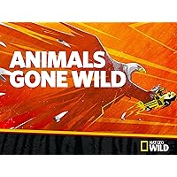 Animals Gone Wild Season 3