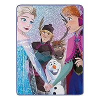 Northwest Frozen Micro Raschel Throw Blanket, 46