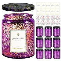 8.8oz Embossed Blinking Glass Candle Container, 9 Pack Electroplated Shining Candle Jar with Embossed Lid for Candle Making DIY Craft (Purple)