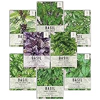 Seed Needs, Culinary Basil Herb Seed Packet Collection (8 Individual Basil Seed Varieties for Planting) Non-GMO & Untreated