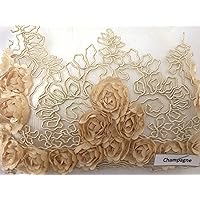 Corsage Lace Embroidered Roses on Mesh Champagne 56 Inch Wide Fabric By the Yard (F.E.