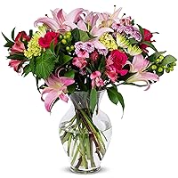 BENCHMARK BOUQUETS - Blissful Blossoms (Glass Vase Included), Next-Day Delivery, Gift Mother’s Day Fresh Flowers