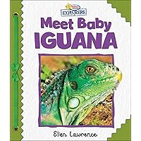 Active Minds Explorers: Meet Baby Iguana