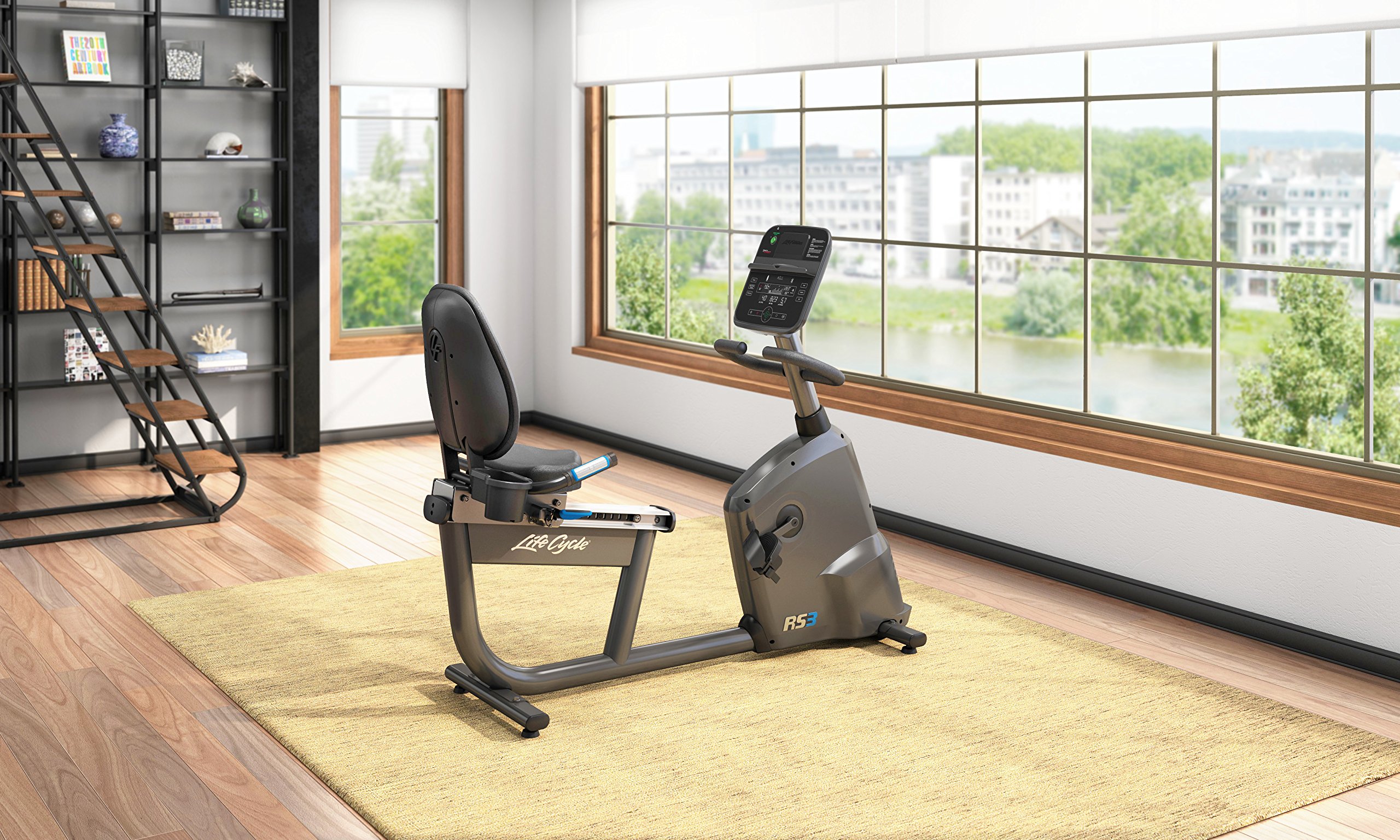 Life Fitness Recumbent with Track Connect Console