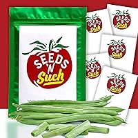 Seeds N Such 1310 Hand Selected Fresh Seasonal Vegetable Seeds | Includes 5 Individually Packaged Seeds Tomatoes, Blue Beans, Cucumbers, Lettuce & Peppers | Untreated & Non-GMO