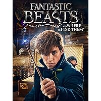 Fantastic Beasts and Where to Find Them (DVD) Fantastic Beasts and Where to Find Them (DVD) DVD Blu-ray 3D 4K