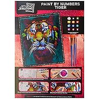 Paint by Numbers Art Kit - Tiger - Kid's Guided Painting Set - Includes Stretched Canvas, 12 Acrylic Paints & 3 Brushes - Perfect Children's Painting Gift Set
