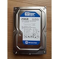 Western Digital 250 GB Caviar Blue SATA 3 Gb/s 7200 RPM 8 MB Cache Bulk/OEM Desktop Hard Drive - WD2500AAJS