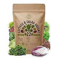 Organo Republic 22 Lettuce & Salad Greens Seeds Variety Pack 10,000 Non-GMO Heirloom Lettuce Seeds for Indoors & Outdoors Garden, Hydroponics - Arugula, Mizuna, Kale, Spinach, Swiss Chard, Lettuce