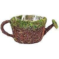 SuperMoss (55260 Deco Watering Can Planter Basket for Plants Home and Garden Decor Perfect Indoor and Outdoor Solutions for Plant Enthusiasts with Liner Medium 7
