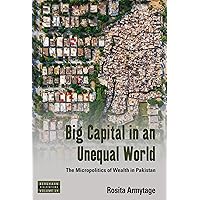 Big Capital in an Unequal World: The Micropolitics of Wealth in Pakistan (Dislocations, 29)
