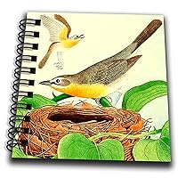 3dRose Vintage Bird Art Yellow-Breasted Chat Birds Nest Illustration... - Drawing Books (db-364684-3)
