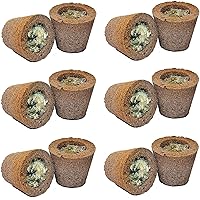 Herbal Sambrani Loban Dhoop Guggal Incense Cup Pack of 12 Cups (1 Box of 12 Cup)