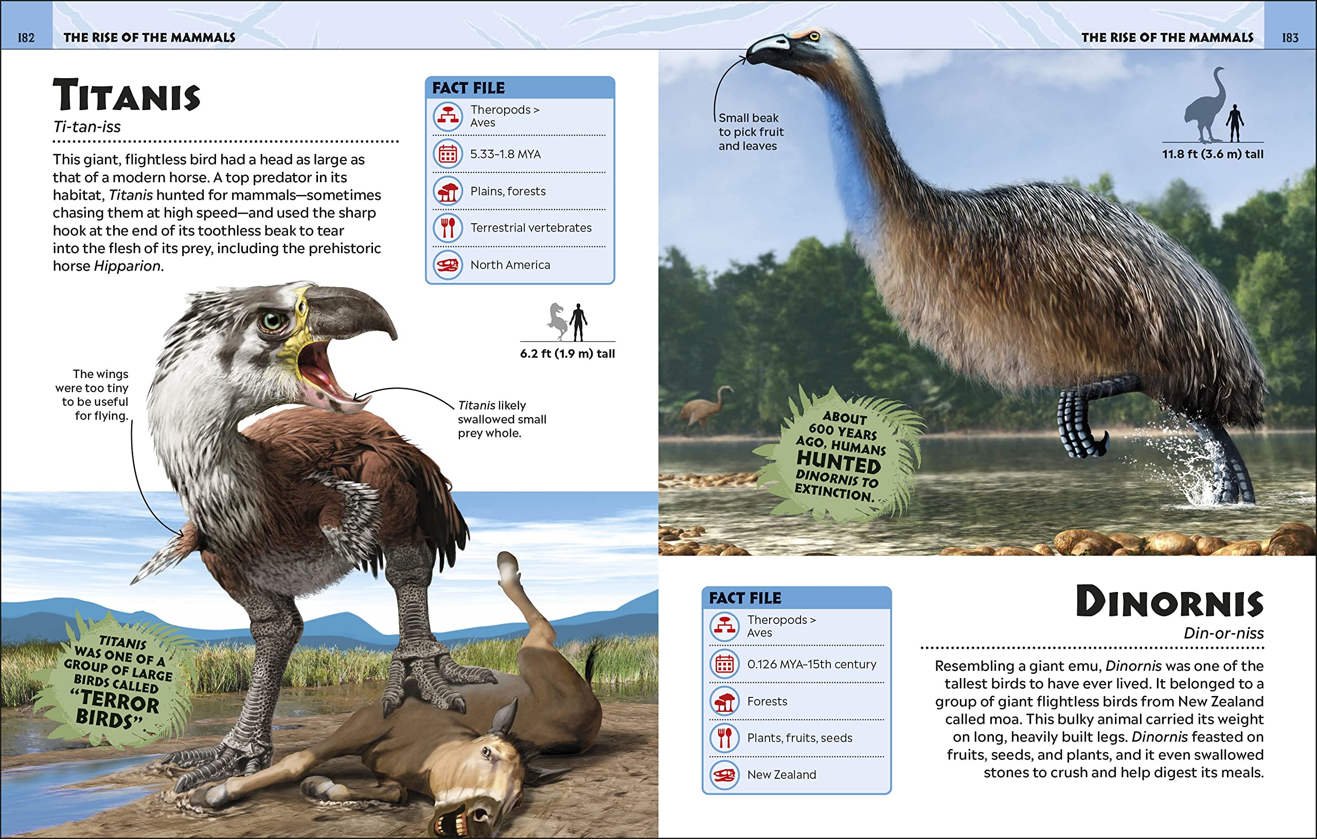 Extraordinary Dinosaurs and Other Prehistoric Life Visual Encyclopedia (DK Children's Visual Encyclopedias)