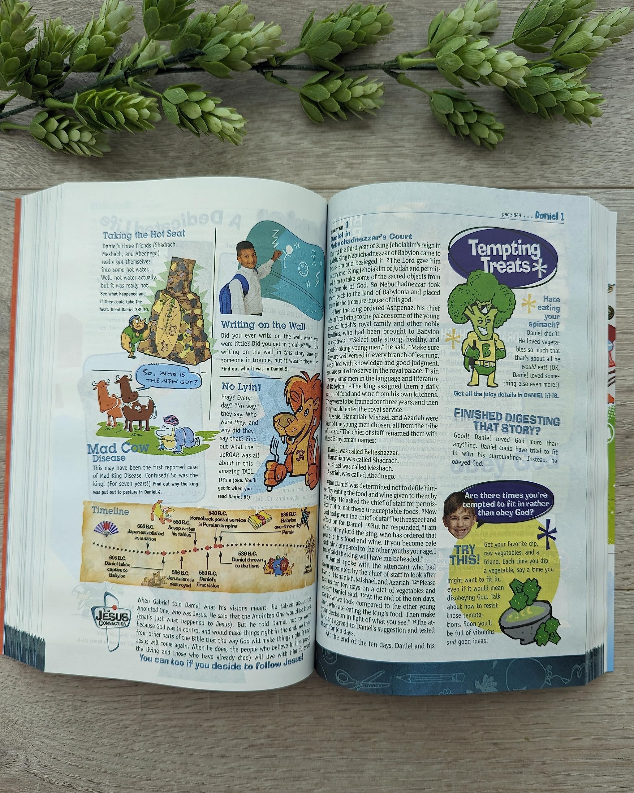 NLT Hands-On Bible for Kids, 3rd Edition (Softcover): Full-Color, Family Activities, Amazing Facts, Charts, and Maps