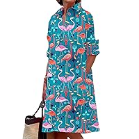 Linen Dress for Women Summer Plus Size Long Sleeve Simple Printed Button Down Shirt Dress with 2 Pockets