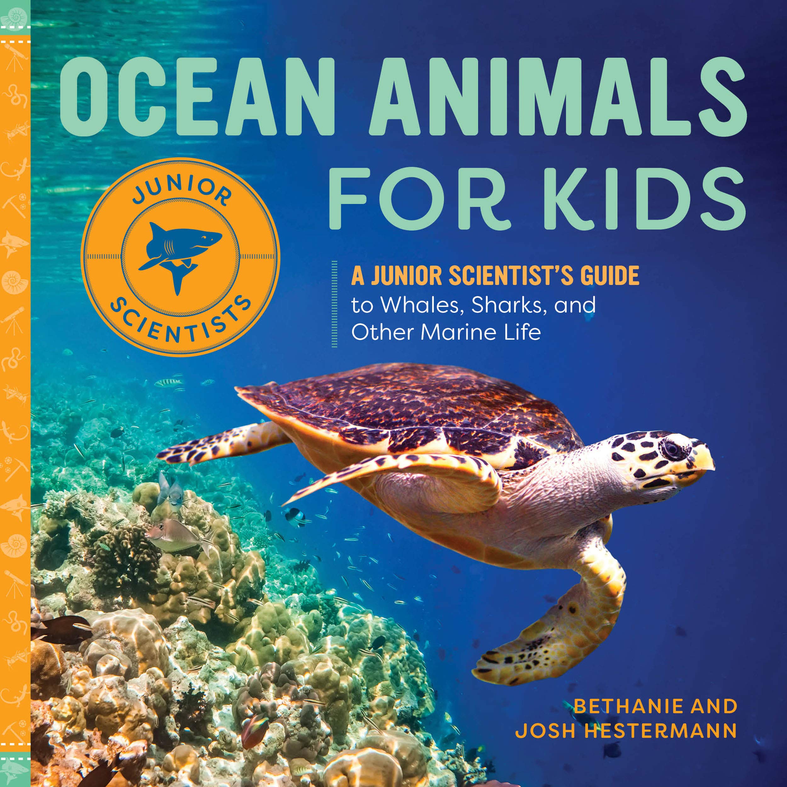 Mua Ocean Animals for Kids: A Junior Scientist's Guide to Whales, Sharks,  and Other Marine Life trên Amazon Mỹ chính hãng 2023 | Fado