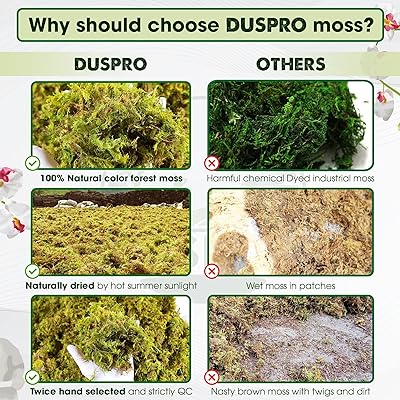 Mua DUSPRO Dried Moss for Potted Plants, Forest Orchid Moss for
