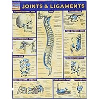 Joints & Ligaments (Quick Study Academic) Joints & Ligaments (Quick Study Academic) Cards