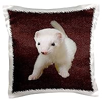 3dRose pc_17290_1 Baby Albino Ferret-Pillow Case, 16 by 16